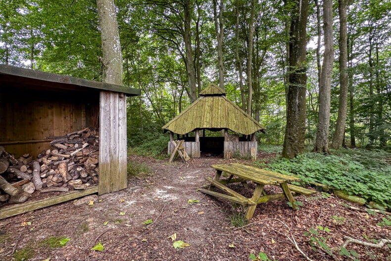 Landerupgaard-juli-2024_13-790x527-1